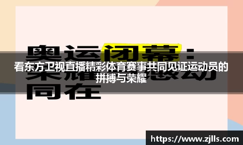 V体育
