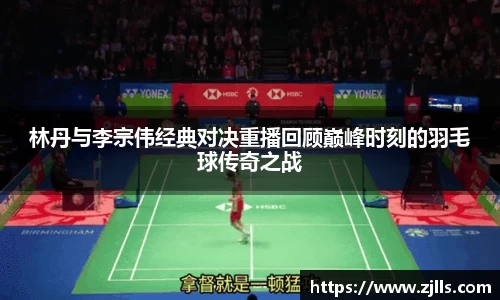 VSport-胜利因您更精彩