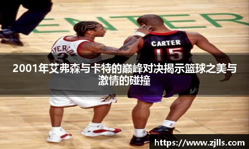 VSport-胜利因您更精彩